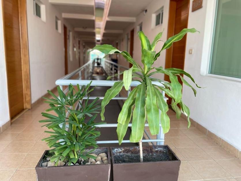 Hotel Santo Domingo Express فيلاهيرموسا المظهر الخارجي الصورة